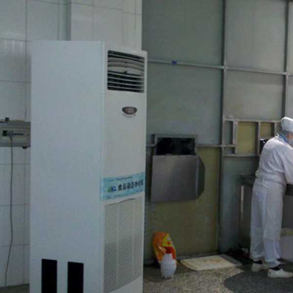 九龙坡食品正负离子空气杀菌器